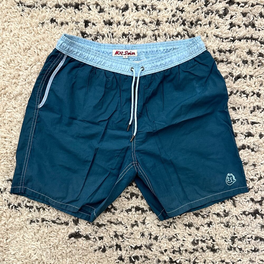 Men's Mr. Swim Bathing Suit/Swim Trunks - Large - Blue and Teal